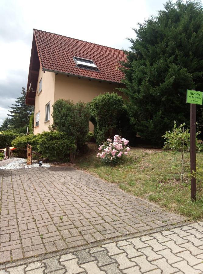 Pension "Am Zuckerberg" Brahmenau Buitenkant foto
